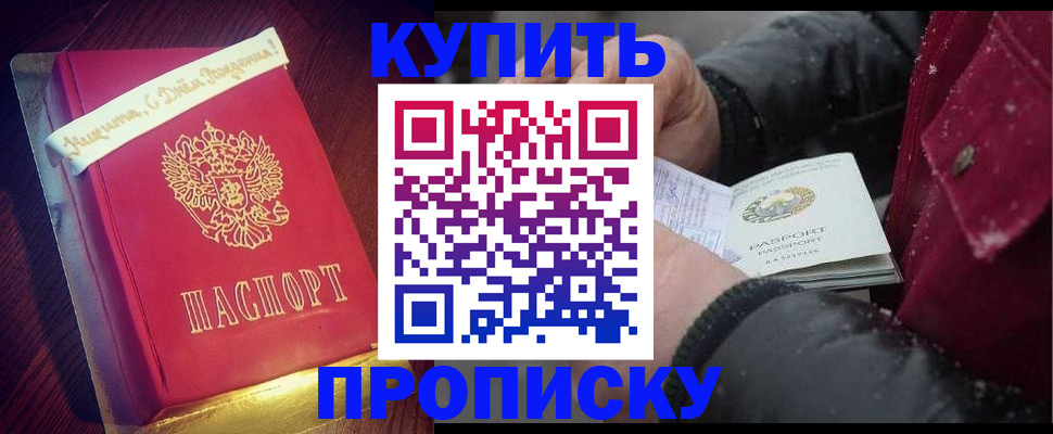 прописка гарантия в Волоколамске